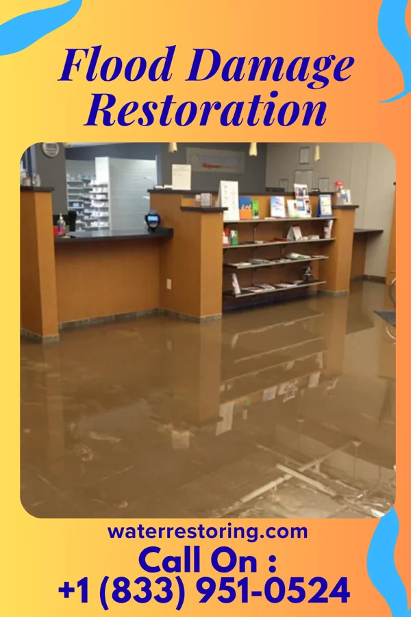 Flood Damage Restoration in Red Chute, LA