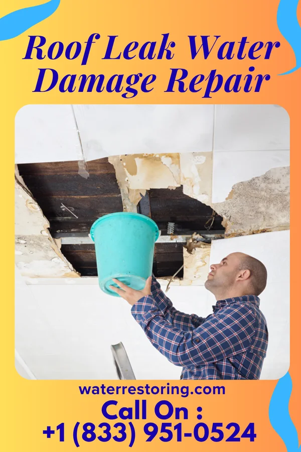 Roof Leak Water Damage Repair in Red Chute, LA
