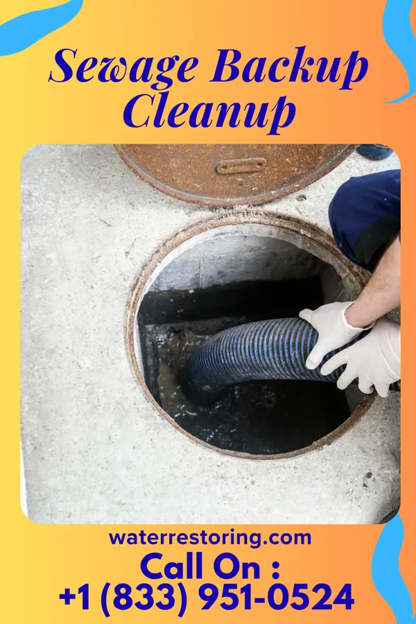 Sewage Backup Cleanup in Red Chute, LA