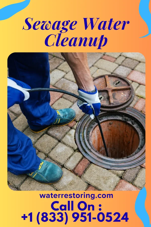 Sewage Water Cleanup in Red Chute, LA